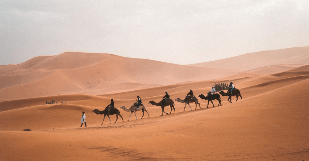 How do Humans Adapt to the Sahara Desert