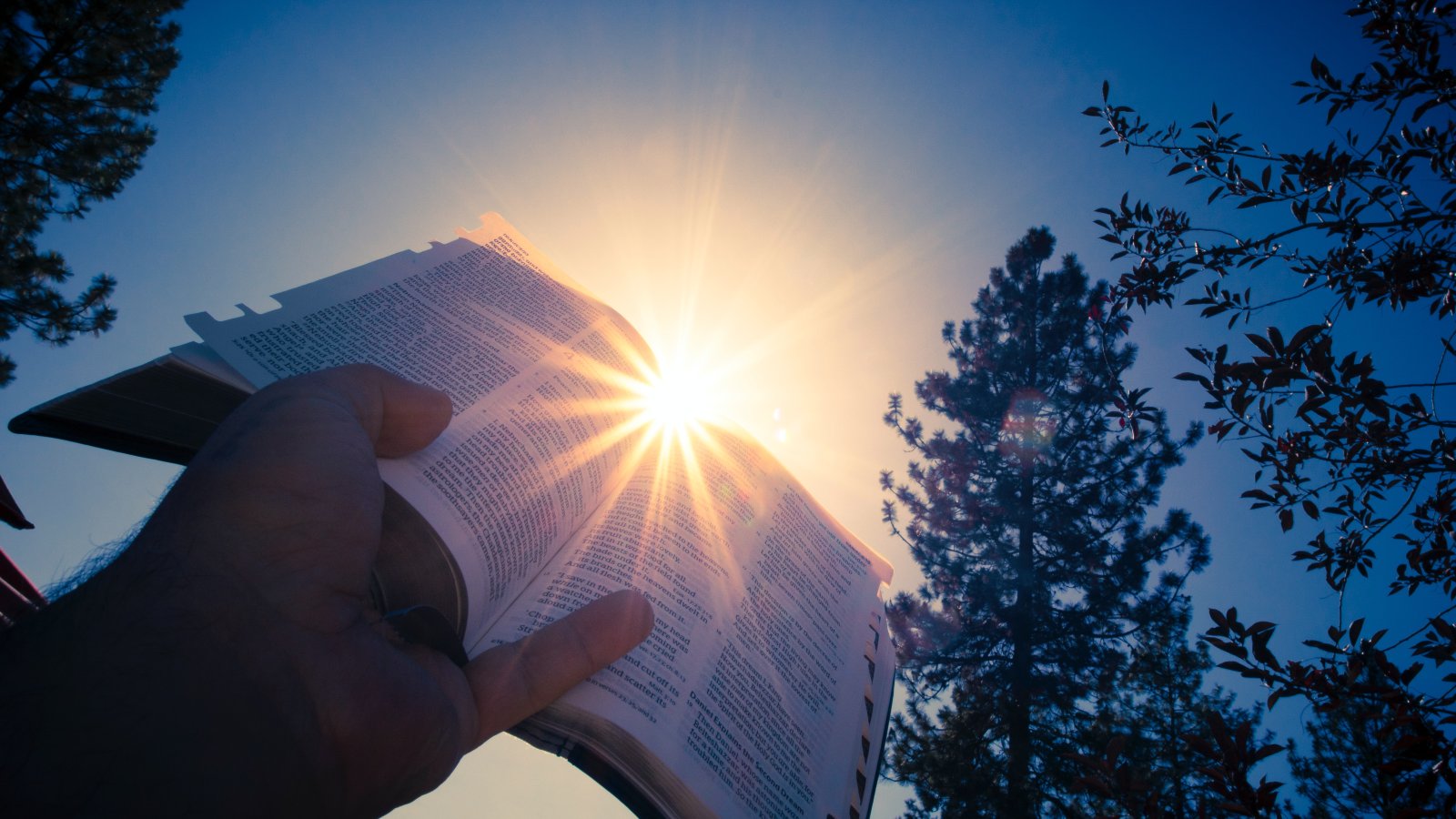 bible sun holding